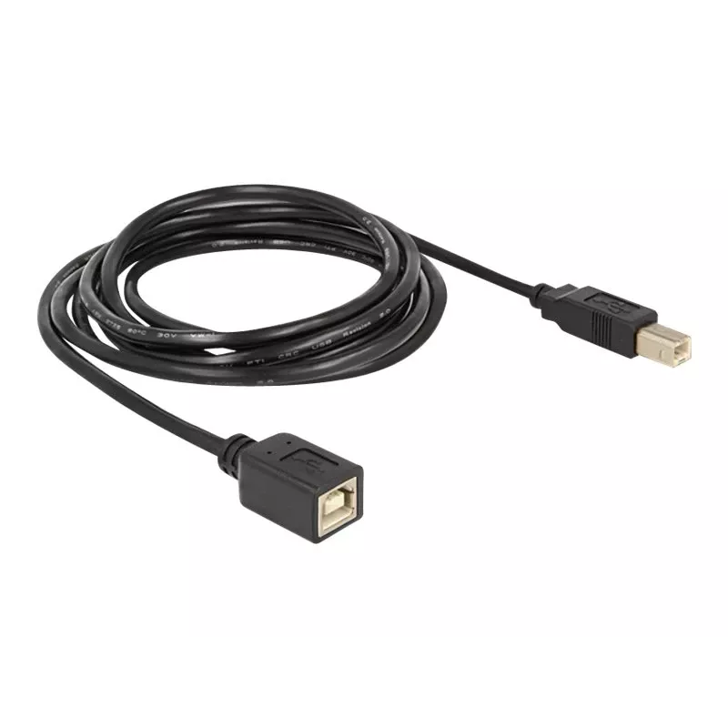 Cable USB DeLOCK USB2.0-B 2 m USB B negro