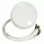 Antena ALLNET 2,4/5 GHz 4 dBi DualBand Spatial Diversity MIMO de techo HG2458-4SDC-RSP