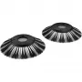 Cepillos laterales S4 2.644-032.0 2 unidades