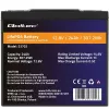 Qoltec 53702 Batería LiFePO4 de litio-hierro-fosfato | 12,8V | 24Ah | 307,2Wh | BMS