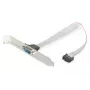 Cable adaptador Serial Slot Bracket Digitus AK-610300-003-E
