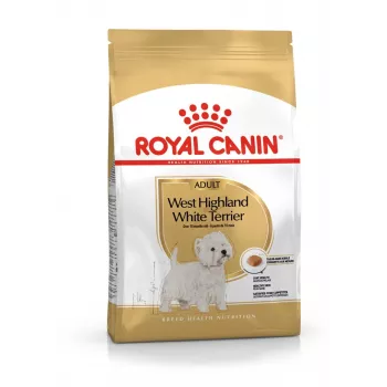 Royal Canin BHN West Highland White Terrier Adult - Pienso para perros adultos - 3 kg