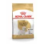 Royal Canin BHN West Highland White Terrier Adult - Pienso para perros adultos - 3 kg