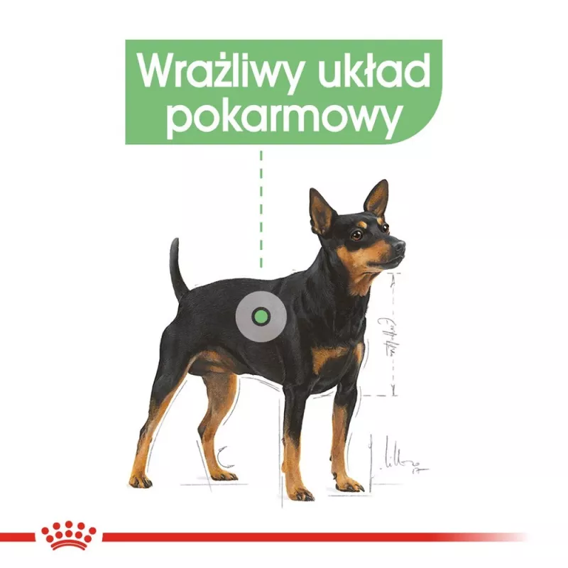 Pienso para perros Royal Canin Mini Digestive Care 3 kg — razas pequeñas, ave, adulto, apoyo digestivo