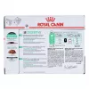 Royal Canin Digest Sensitive Care - Comida húmeda para gatos - 12x85g