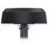 Antena 5G Combo MIMO Mobile GNSS para montaje en techo TELTONIKA PR1KCI49 para vehículos – telefonía móvil multibanda con GNSS integrado