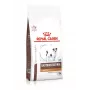 ROYAL CANIN Gastrointestinal Low Fat Small VHN comida seca para perros, 3,5 kg