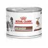 Royal Canin Recovery comida húmeda para perros y gatos, 195 g