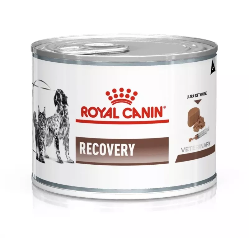 Royal Canin Recovery comida húmeda para perros y gatos, 195 g