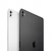 Apple iPad Pro Apple M 2 TB 27,9 cm (11