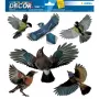 Pegatina decorativa HERMA 15539 film multicolor despegable pájaro