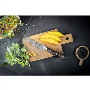 Cuchillo de mechar y decorar Zwilling TANREI 10 cm