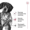 ROYAL CANIN SHN Medium Ageing lata 410 g