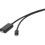 Cable de conexión USB / Mini-DisplayPort Renkforce [1x conector macho USB-C™ - 1x conector macho Mini-DisplayPort] 5 m negro (RF-3421684)