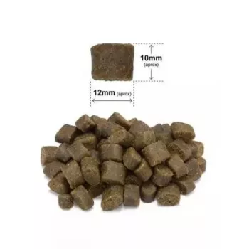 Comida semihúmeda seca para perros ARQUIVET Fresh salmón con pavo 10 kg — alimento completo para perros adultos, 27 % proteína, 17 % grasa