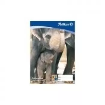 Pelikan bloc de dibujo C 2-10, DIN A2, 100 g/m², 10 hojas blanqueado sin cloro, perforado (137604)