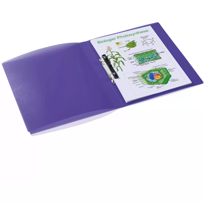 Archivador de anillas HERMA 19183 A4 violeta