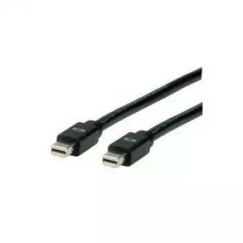 ROLINE cable DisplayPort, Mini DP macho – Mini DP macho 2,0 m (11.04.5640)