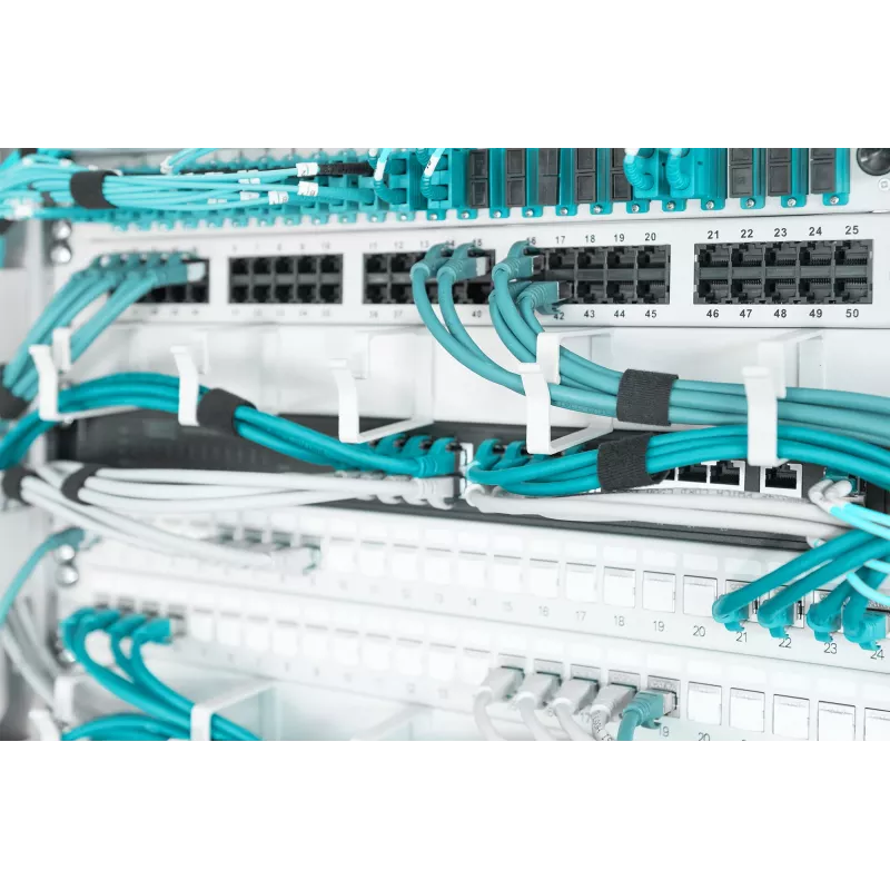 Panel de gestión de cables Digitus DN-97601