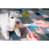 Pasta de dientes para perros y gatos VIRBAC pasta enzimática 70 g