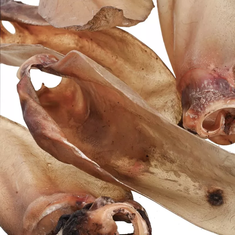 Premios para perros PETITTO oreja de ternera con cartílago — pack de 10, snacks masticables monocomponente