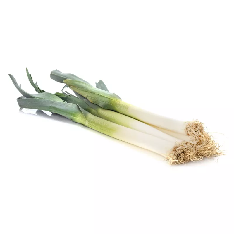 PNOS puerro Starozagorski Kamush semillas de hortalizas, 1 g