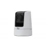Axis 02022-003 Negro