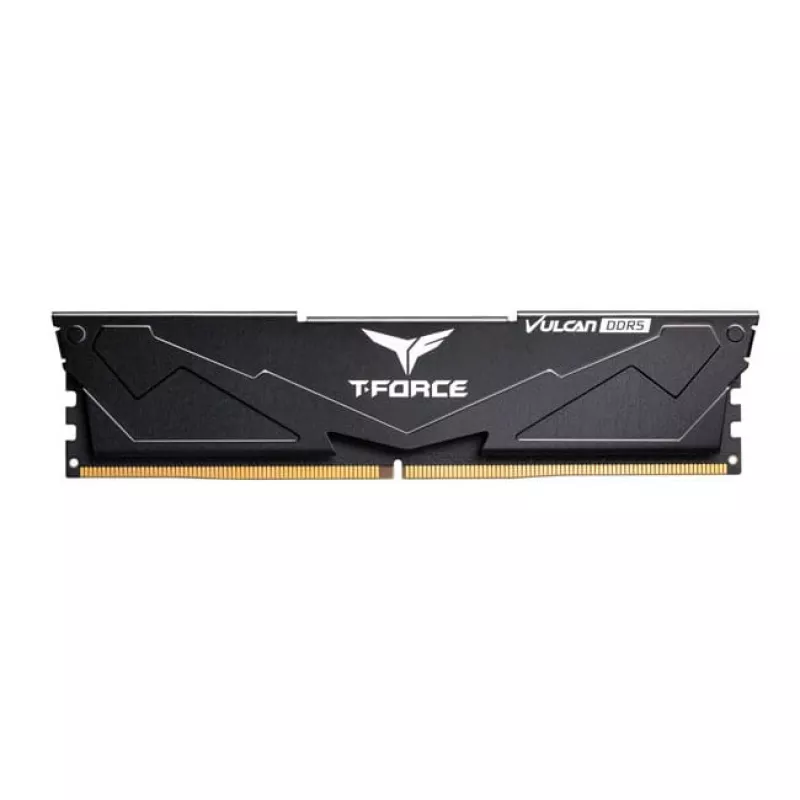 DIMM 32 GB DDR5-6000 (2x 16 GB) Dual-Kit, memoria RAM negra, FLBD532G6000HC38ADC01, Vulcan, AMD EXPO