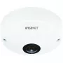 Cámara de seguridad IP Hanwha QNF-8010 domo 2048 x 2048 píxeles