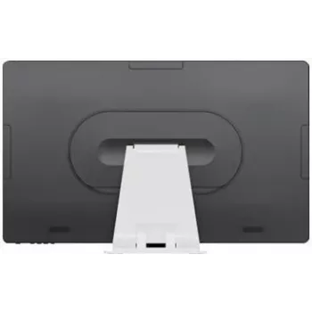 MICROTOUCH 61,00 cm (24) monitor de sobremesa PCAP, 1920 x 1080, 350 NITS, 10 PUNTOS TÁCTILES, SIN PIE, 1 x HDMI, 1 x USB A 3.1, 1 x USB-C (ALT DP), 4 x USB-C periféricos (M1-238DT-A1)