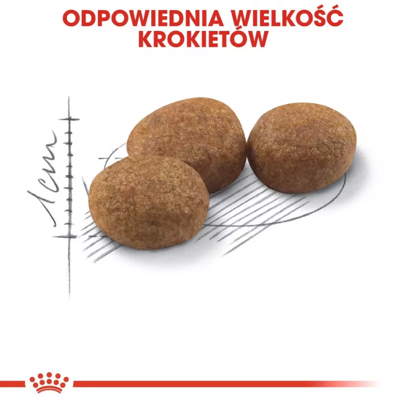 Pienso para gatos Royal Canin Sterilised 2 kg — Gatos adultos esterilizados, pollo, 37 % proteínas