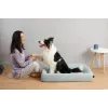Cama para mascotas PETKIT Four - M para gatos y perros pequeños, interior, 1 ud.