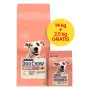 PURINA Dog Chow Sensitive Salmon - pienso seco para perros - 14 + 2,5 kg