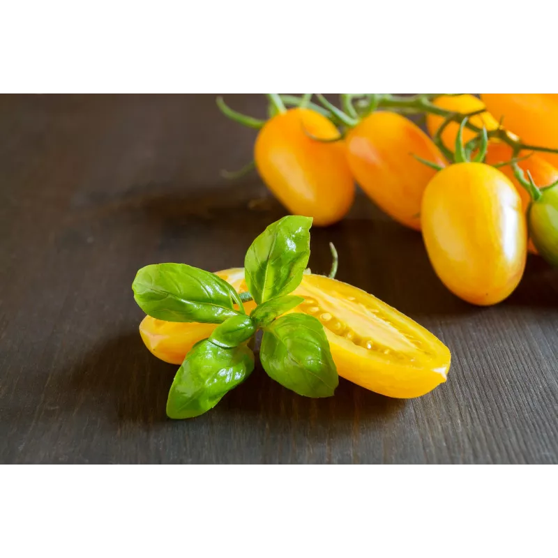 Tomate cherry Perun Toraf semillas de hortalizas, paquete de 0,5 g