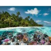 Puzle Ein Dive in the Maldives (2000 piezas)