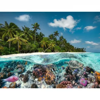 Puzle Ein Dive in the Maldives (2000 piezas)