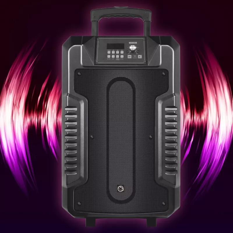 Altavoz Manta SPK1203B100 100 W