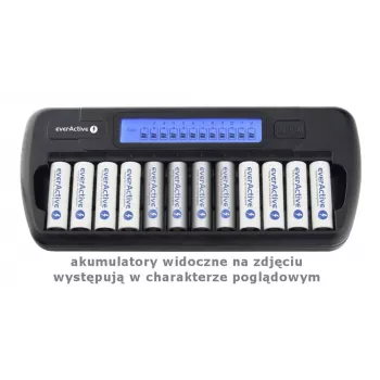Cargador de baterías everActive NC-1200 – cargador universal de 12 baterías para AA/AAA, entrada 12 V, negro