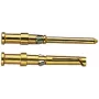 Contacto de crimpado HART 0,5 mm² 09150006123 dorado 100 (09150006123)