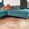 Cepillo Vileda Always Clean PET PRO