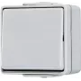 Interruptor pulsador Jung 606 W 1P con cable 250 V 10 A gris