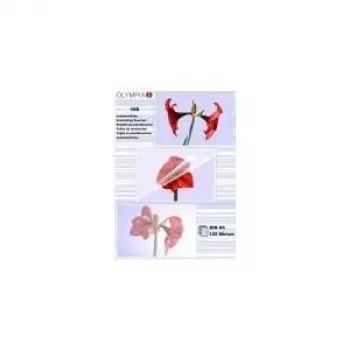 Fundas de laminar Olympia 1x100 DIN A5 125 micras