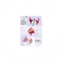 Fundas de laminar Olympia 1x100 DIN A5 125 micras