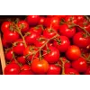 Tomate cherry Bajaja Toraf semillas de hortalizas, paquete de 0,3 g