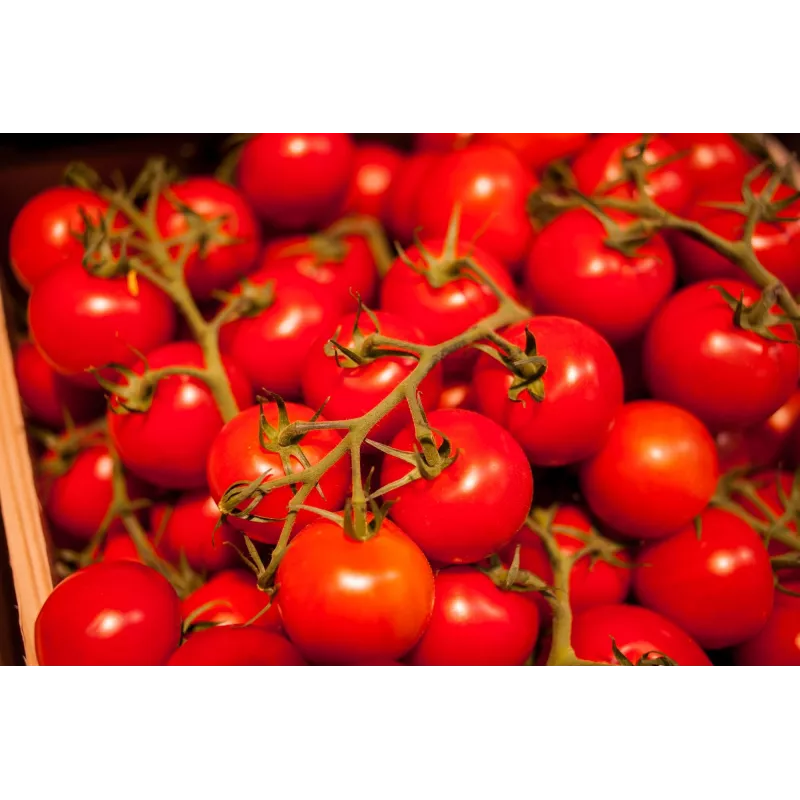 Tomate cherry Bajaja Toraf semillas de hortalizas, paquete de 0,3 g