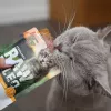 RAW PALEO Adult Cat Sterilised pavo - Comida húmeda para gatos - 100 g