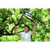 Fiskars PowerGear tijera de yunque para ramas L77