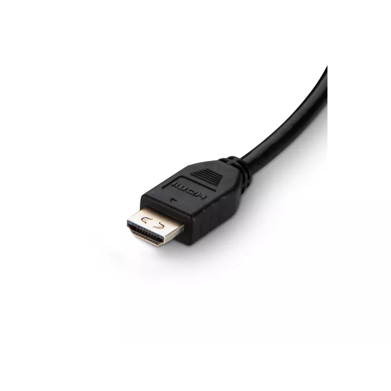 Cable DVI a HDMI/USB/AUD DVI/HDMI MM USB A/B 10IN
