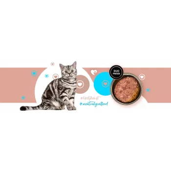 Comida húmeda para gatos 3coty 26 Pavo y Conejo – 180 g lata, adultos, sin cereales, sin gluten, para gatos alérgicos