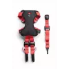 Arnés para perros ZOLUX TRAVEL SAFE S, talla S, rojo